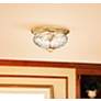 Hinkley Anana Plantation Collection 16" Wide Ceiling Light in scene