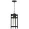 Tofino; 1 Light; Hanging Lantern; Textured Black Finish with Clear Glass