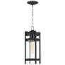 Tofino; 1 Light; Hanging Lantern; Textured Black Finish with Clear Glass