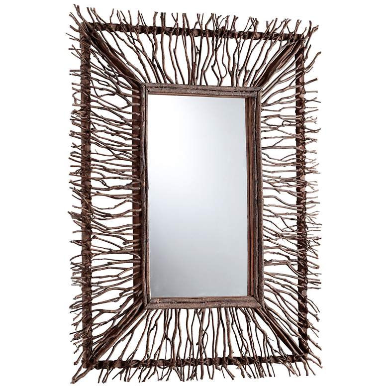 Image 1 Toland 34 1/2 inch High Wood Branch Rectangular Wall Mirror