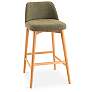 2_Tonia 19.75" Wide Domasco Bar Stool Domasco Frame more views