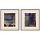 Torrent II 25"W x 28"H Framed Art Set of 2