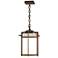 Tourou 16 1/2" High Coastal Bronze Outdoor Hanging Light