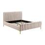 Thumbnail4 of TOV Angela Blush Velvet Channel-Tufted Modern Full Size Bed more views