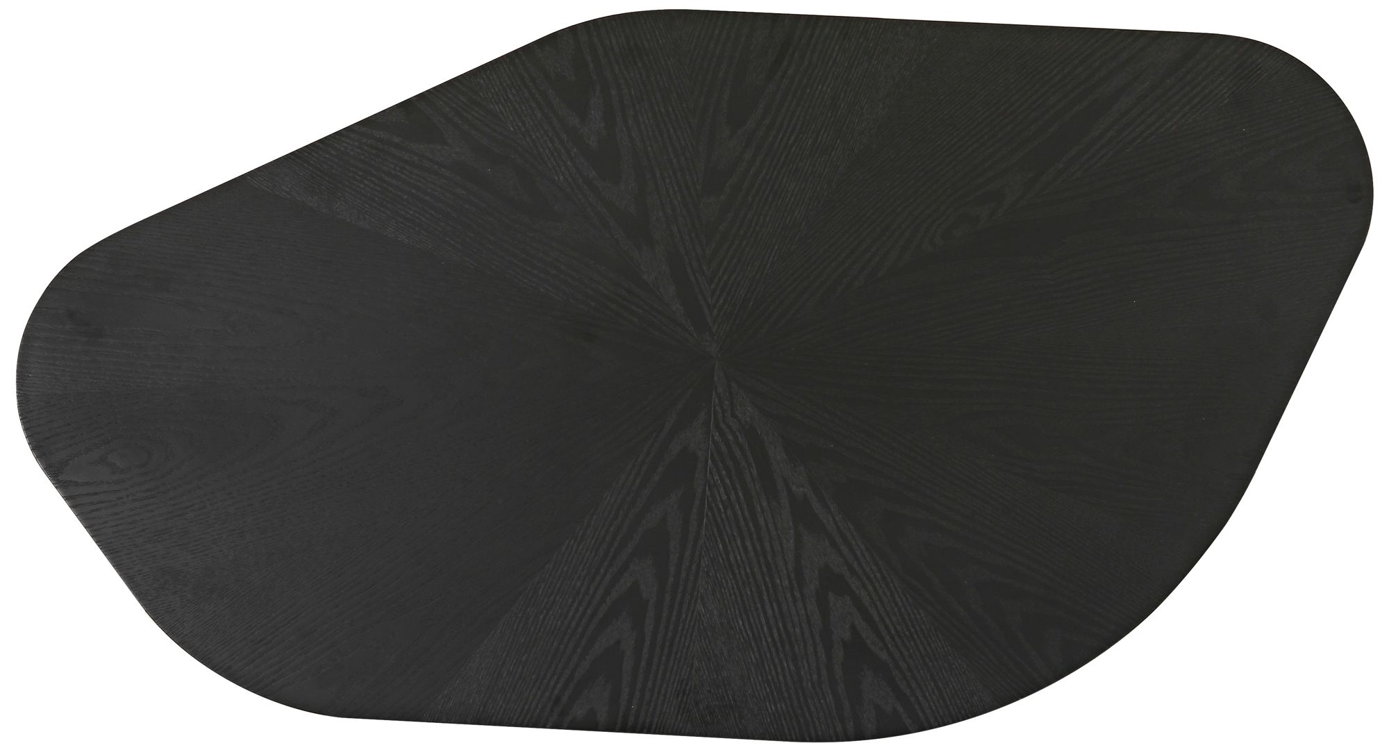 Image 3 TOV Furniture Roche 50" Wide Black Ash Low Coffee Table more views