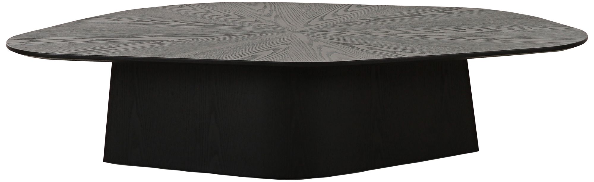 Image 5 TOV Furniture Roche 50" Wide Black Ash Low Coffee Table more views