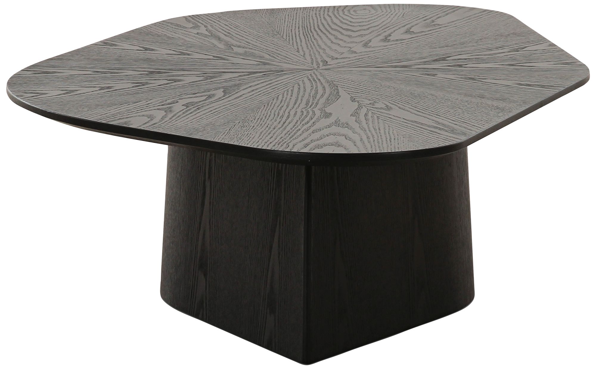 Image 6 TOV Furniture Roche 50" Wide Black Ash Low Coffee Table more views