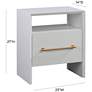 TOV Libre 23" Wide Modern White Wood 1-Drawer 1-Shelf Nightstand