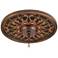 Tracery Jewels 16" Wide Bronze Finish Ceiling Medallion