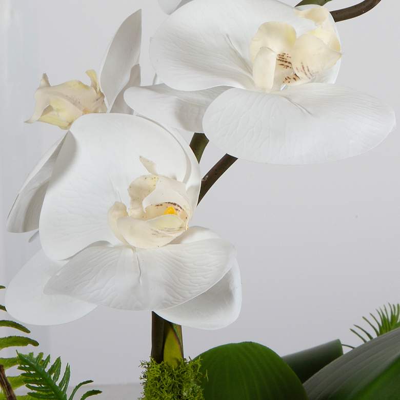 Image 4 Transcend Orchid 16" High Faux Flower in Boat-Shaped Planter more views