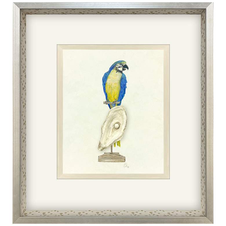 Image 1 Treasure Parrot I 23"W x 26"H Framed Art