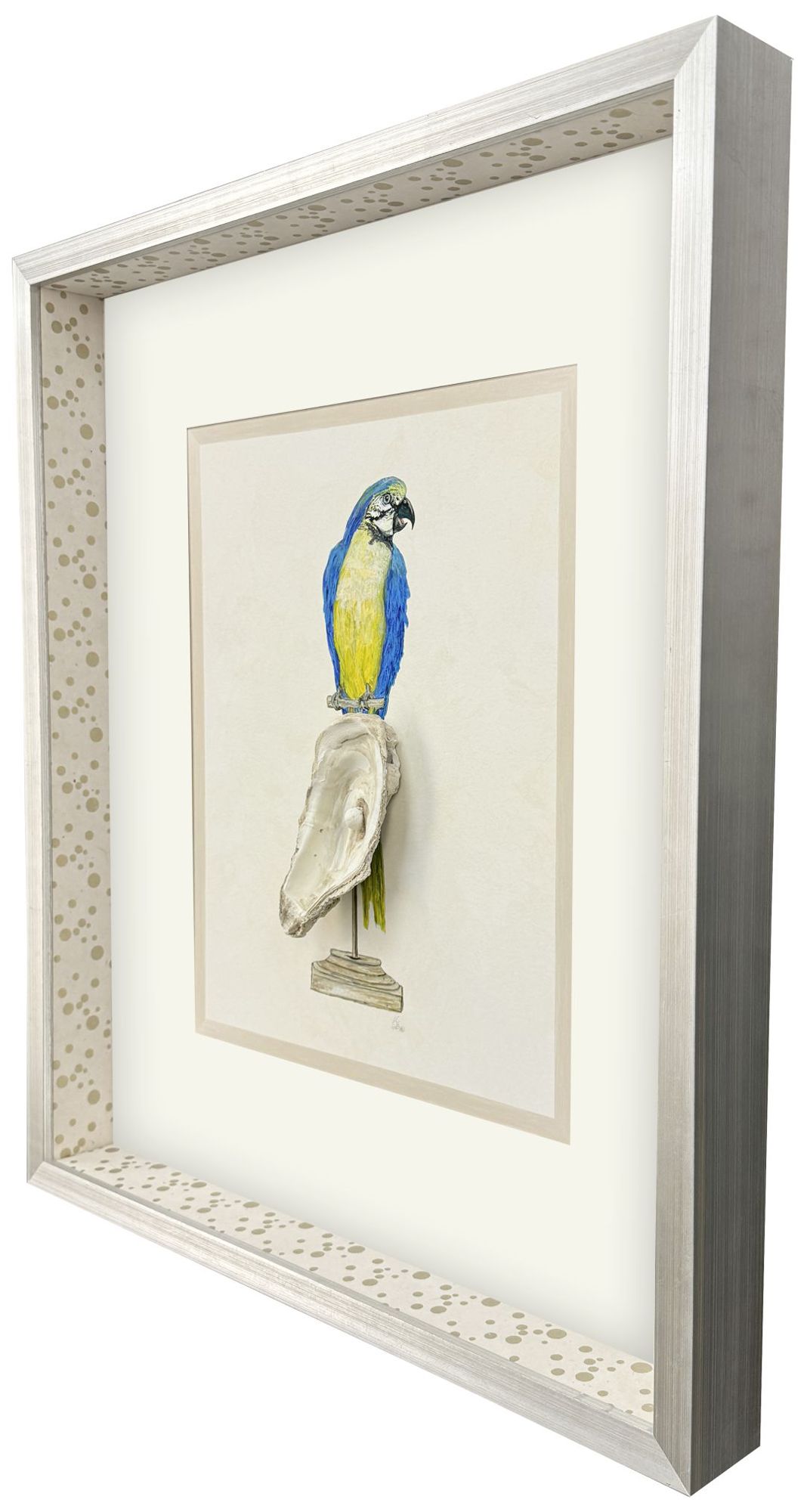 Image 2 Treasure Parrot I 23"W x 26"H Framed Art more views