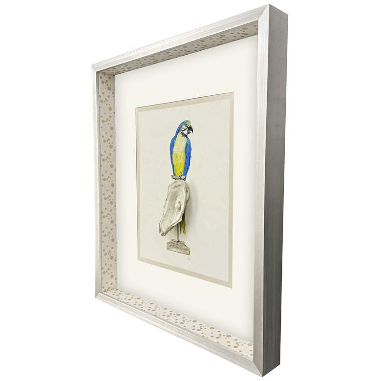 Image 2 Treasure Parrot I 23"W x 26"H Framed Art more views