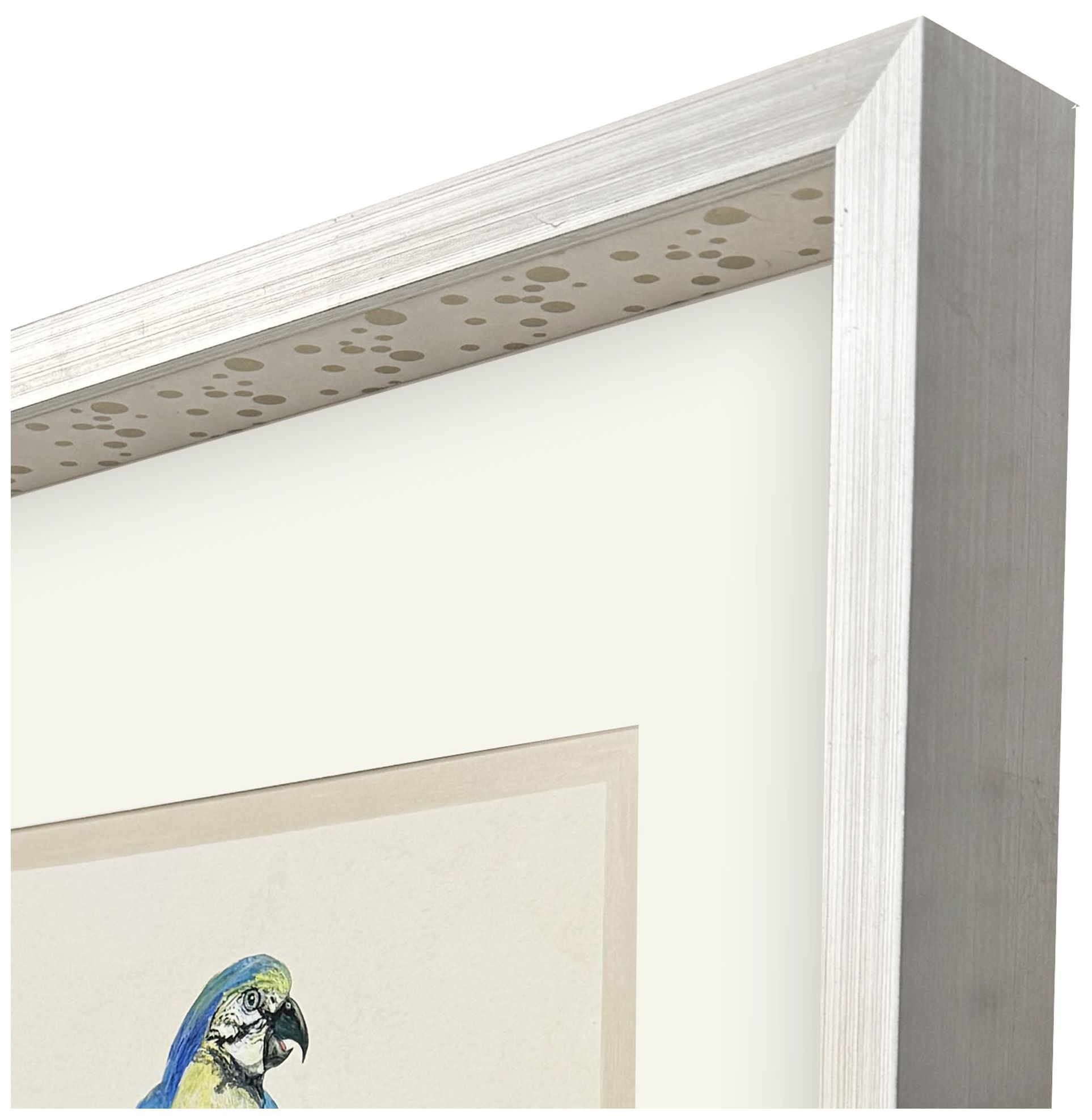 Image 3 Treasure Parrot I 23"W x 26"H Framed Art more views