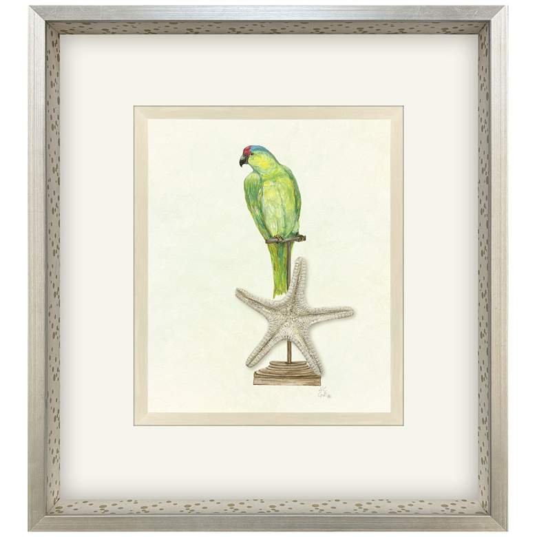 Image 1 Treasure Parrot II 23"W x 26"H Framed Art