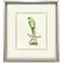 Treasure Parrot II 23"W x 26"H Framed Art