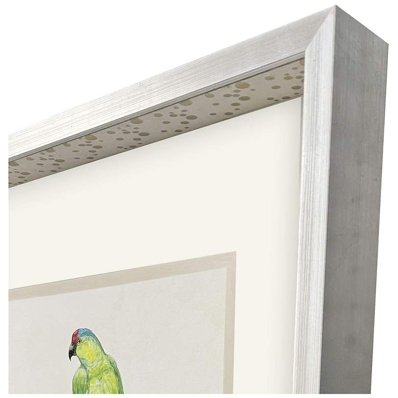 Image 3 Treasure Parrot II 23"W x 26"H Framed Art more views