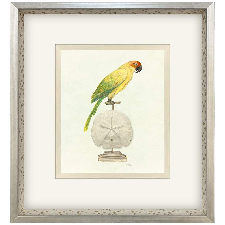 Image 1 Treasure Parrot III 23"W x 26"H Framed Art