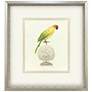 1_Treasure Parrot III 23"W x 26"H Framed Art