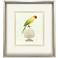 Treasure Parrot III 23"W x 26"H Framed Art
