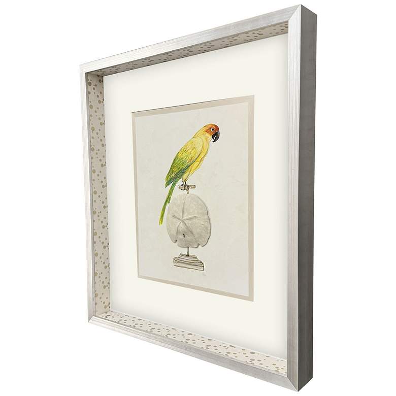 Image 2 Treasure Parrot III 23"W x 26"H Framed Art more views