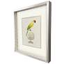 2_Treasure Parrot III 23"W x 26"H Framed Art more views