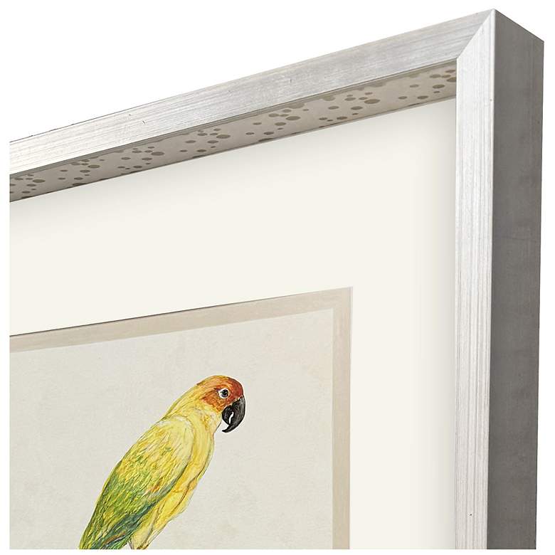 Image 3 Treasure Parrot III 23"W x 26"H Framed Art more views