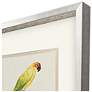 3_Treasure Parrot III 23"W x 26"H Framed Art more views