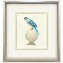 1_Treasure Parrot IV 23"W x 26"H Framed Art