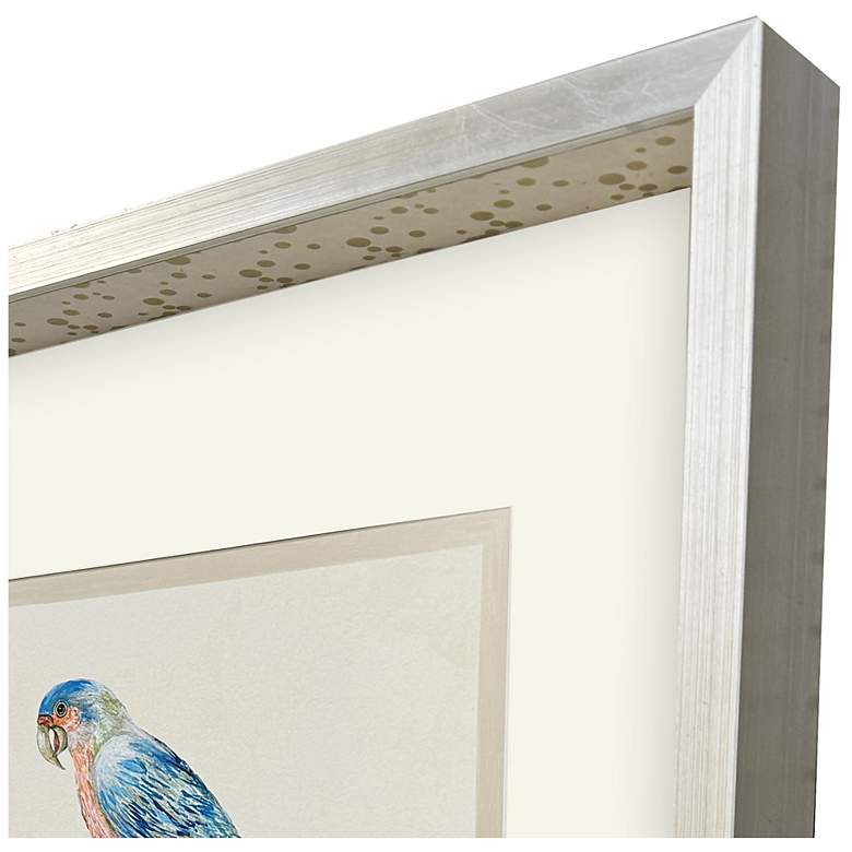 Image 3 Treasure Parrot IV 23"W x 26"H Framed Art more views