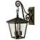 Trellis 19 3/4" High Regency Bronze Outdoor Wall Light