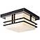 Tremillo Energy Efficient 11 1/2" Wide Outdoor Ceiling Light