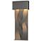 Tress Small Dark Sky LED Outdoor Sconce - Iron Finish