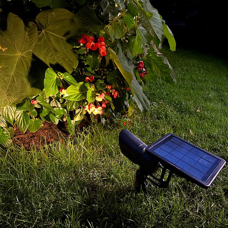 Tri Color Spotlight Tri-Color Progressive Solar Spotlight - #3782W | Lamps Plus
