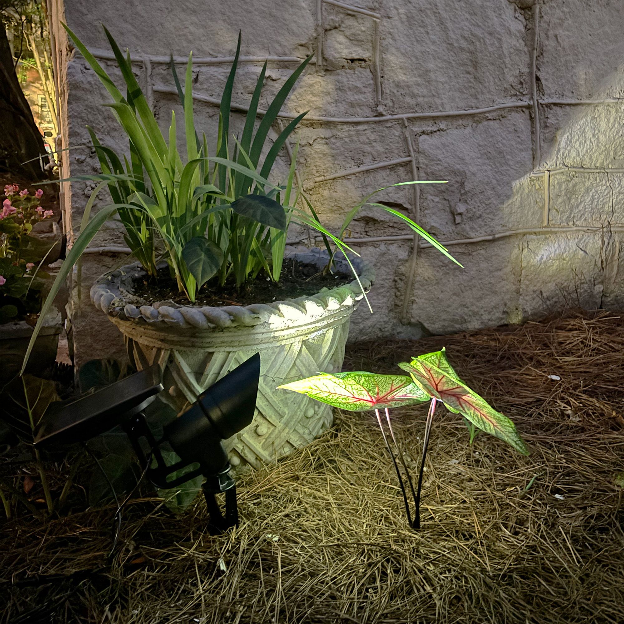 Image 5 Tri-Color Progressive Solar Spotlight more views