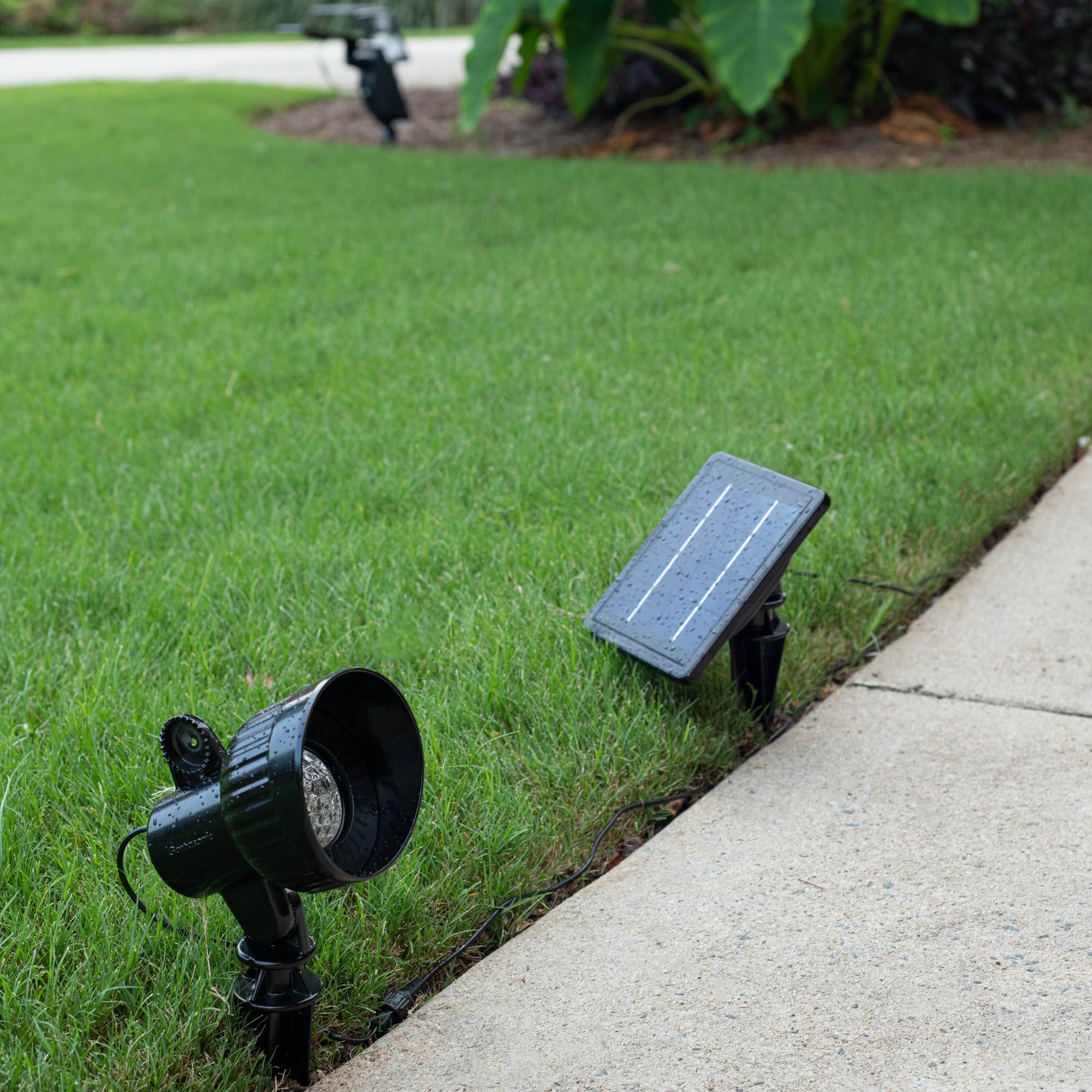 Tri-Color Progressive Solar Spotlight