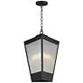 2_Triform 16" High Black Outdoor Hanging Light