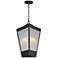 Triform 16" High Black Outdoor Hanging Light