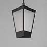 4_Triform 16" High Black Outdoor Hanging Light more views