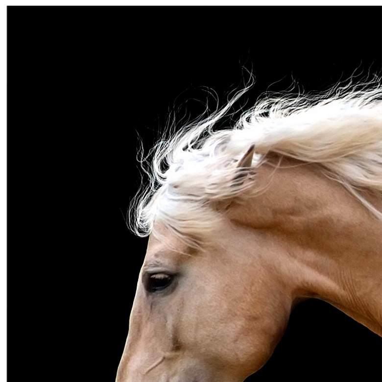 Image 3 Trilogy 2 63" Wide Floating Tempered Glass Graphic Wall Art more views