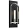 Triomphe 14.8" High Sterling Accented Black Sconce With Frosted Glass 