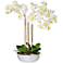 Triple White Moth 32" Wide Orchids in Silver Ceramic Pot