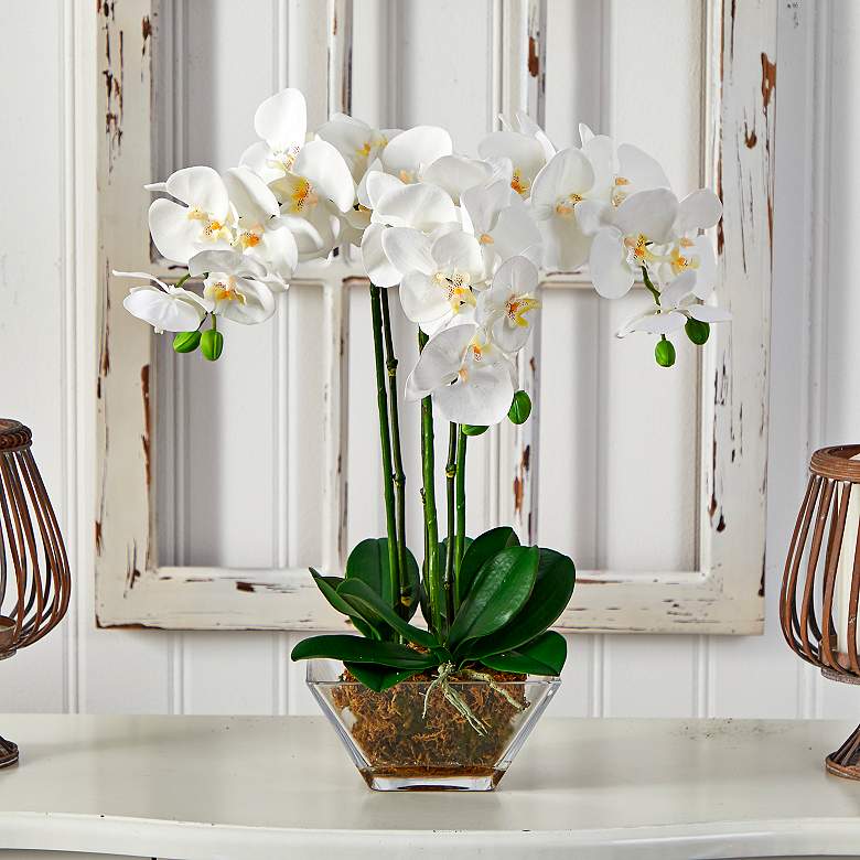 Image 1 Triple White Phalaenopsis 22" High Faux Orchid in Glass Vase