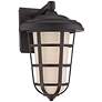 Triton 16 1/2" High Aged Bronze Outdoor Wall Sconce
