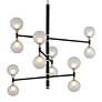1_Tro9y Andromeda 12-Light Carbide Black and Nickel Pendant