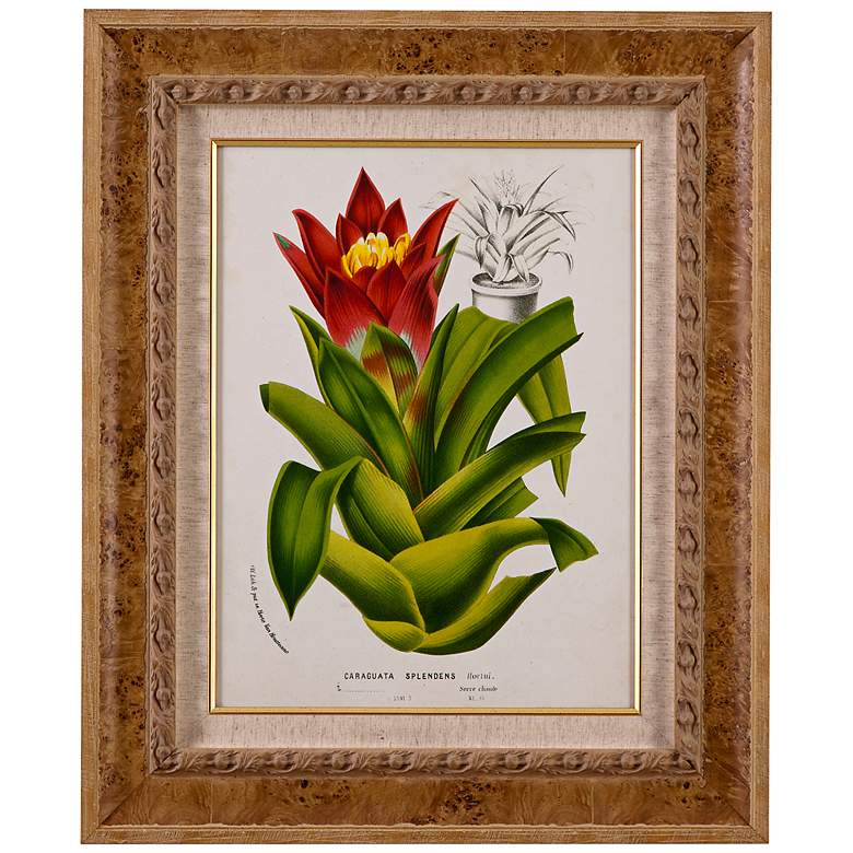 Image 1 Tropical Bromeliad II 35 inch High Framed Floral Wall Art