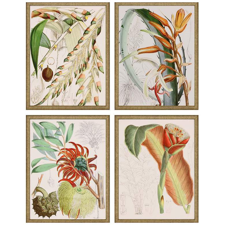 Image 1 Tropical Variety 19"W x 25"H Framed Art Set of 4