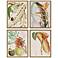 Tropical Variety 19"W x 25"H Framed Art Set of 4