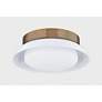 4_Troy Arnie 28.5In 2 Light Flush Mount more views