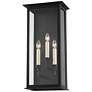 Troy Chauncey 23.5" Steel Ext. Wall Sconce